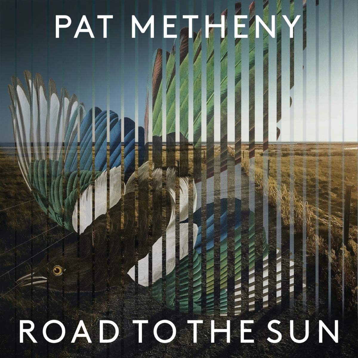 CD - Pat Metheny - Road To The Sun