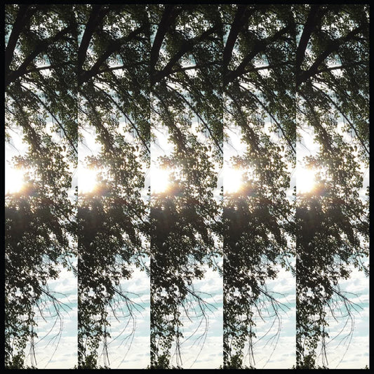 Pontiak - Dialectic Of Ignorance - LP