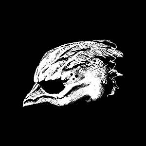 Legend Of The Seagullmen - S/T CD